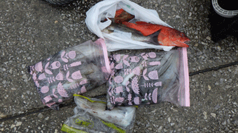 ���[